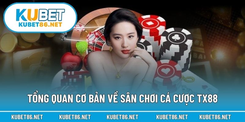 Tổng quan cơ bản về sân chơi cá cược Tx88